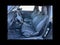 2027 MINI 2 DOOR SIGNATURE PLUS
